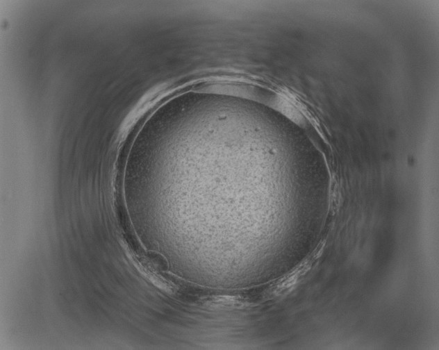 X0000085040151200703121442