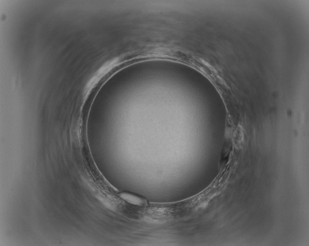 X0000085040152200703121442