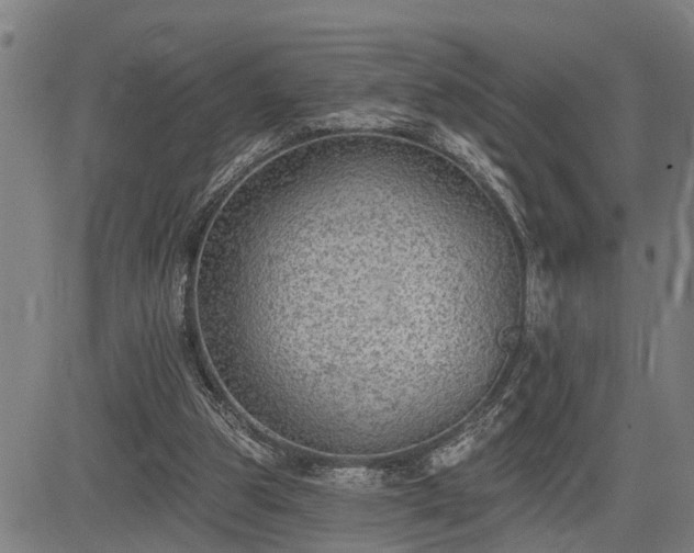 X0000085040153200703121442