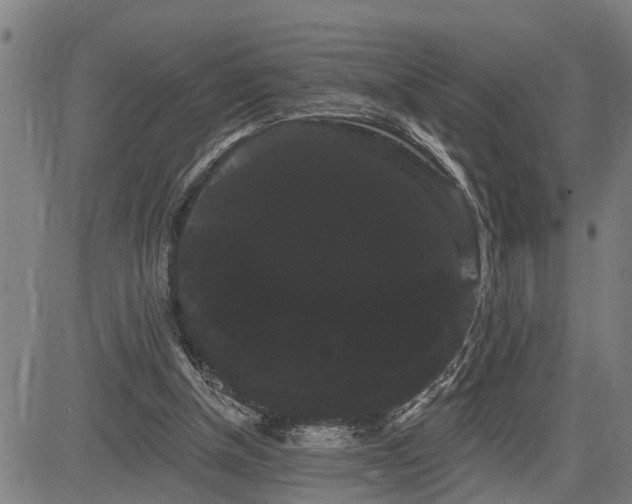 X0000085040154200703121442