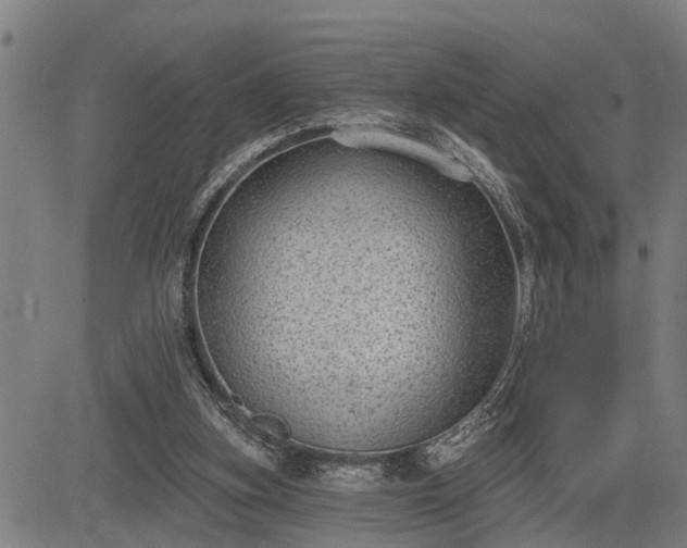 X0000085040155200703121442