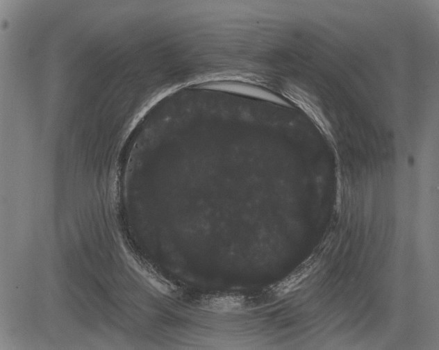 X0000085040156200703121442