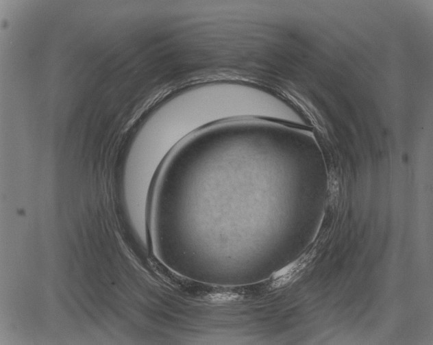 X0000085040158200703121442