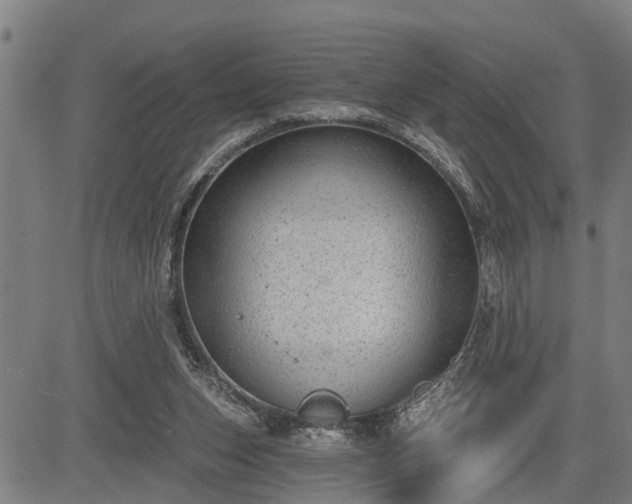 X0000085040159200703121442