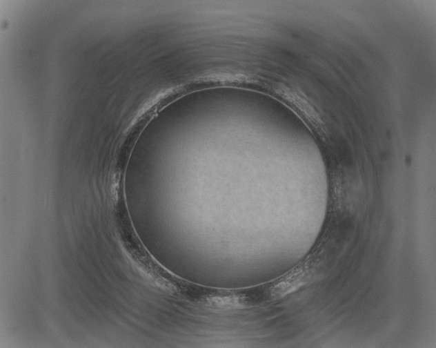 X0000085040160200703121442