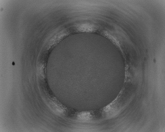 X0000085040162200703121442