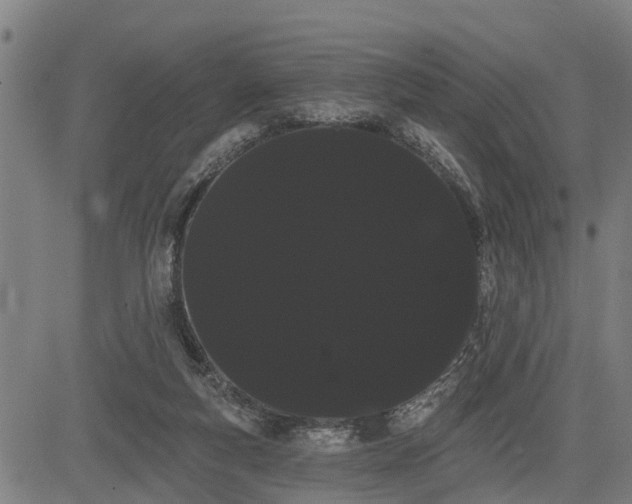 X0000085040163200703121442