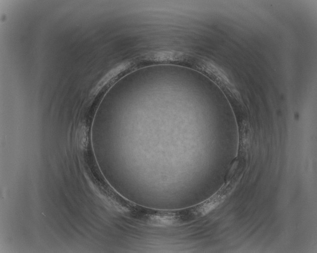 X0000085040164200703121442