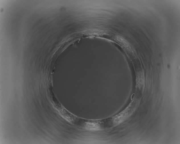 X0000085040167200703121442