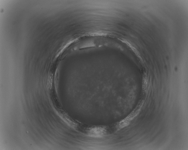 X0000085040168200703121443