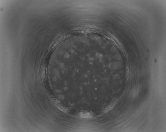 X0000085040169200703121443