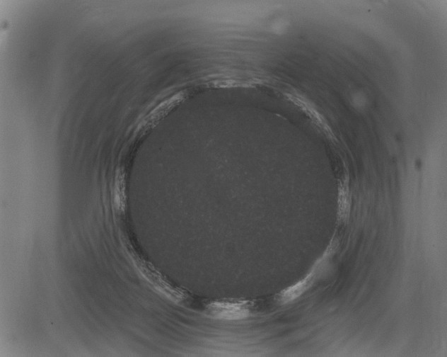 X0000085040170200703121443