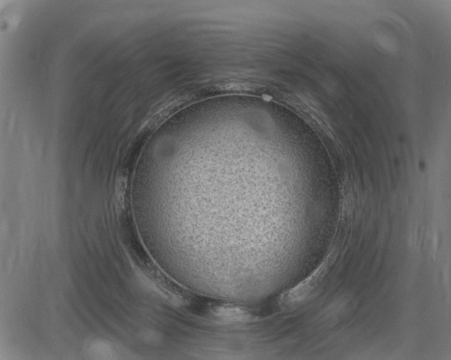 X0000085040171200703121443