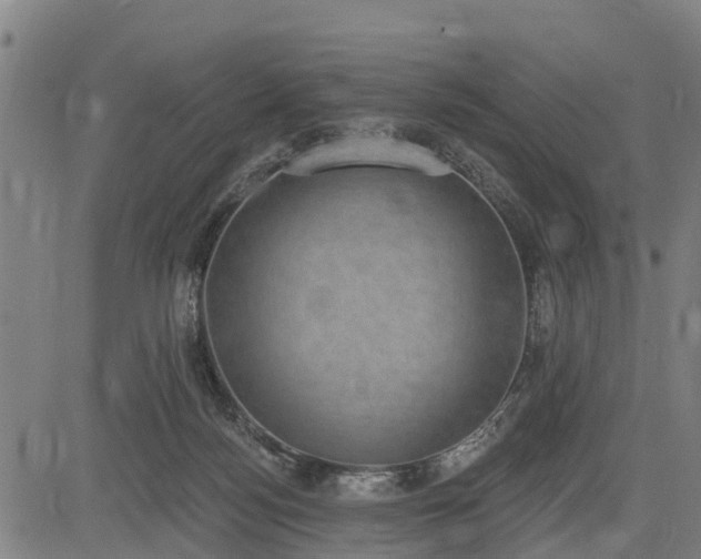 X0000085040172200703121443