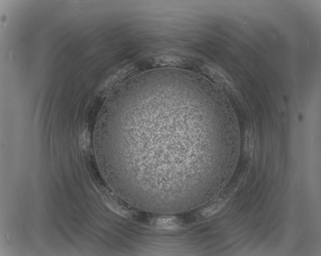 X0000085040173200703121443