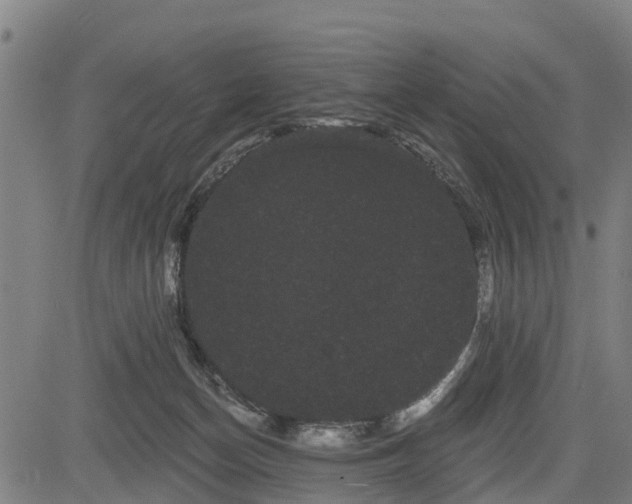 X0000085040174200703121443