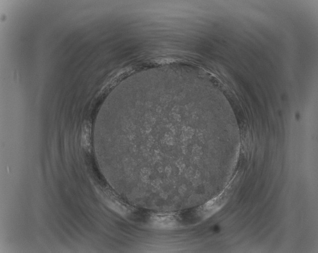 X0000085040175200703121443