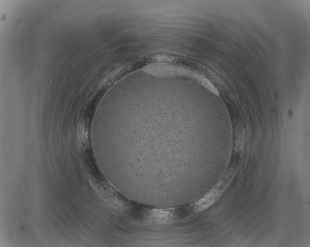 X0000085040176200703121443