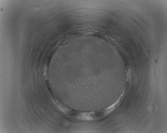 X0000085040178200703121443