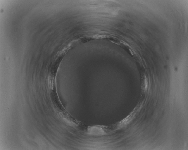 X0000085040180200703121443