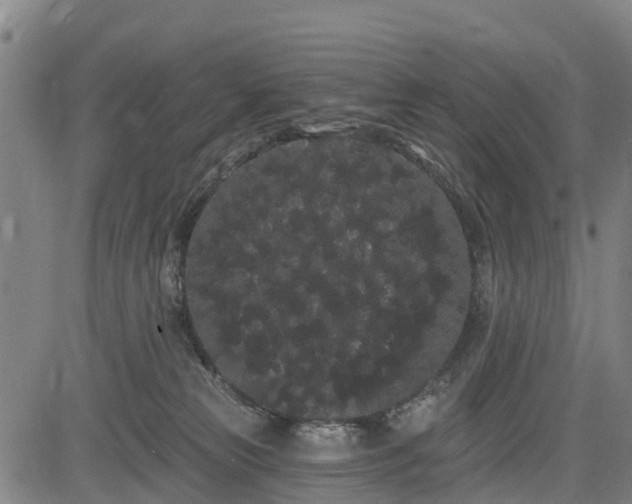 X0000085040181200703121443