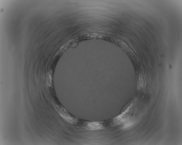 X0000085040183200703121443