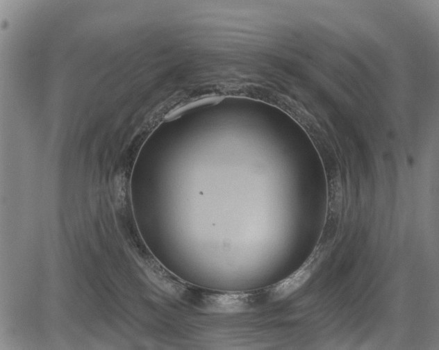 X0000085040184200703121443