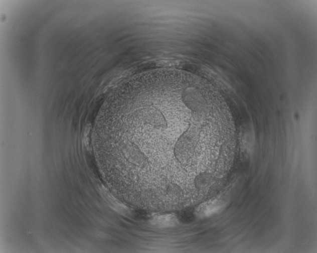 X0000085040185200703121443