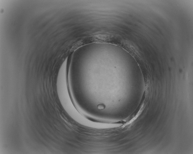 X0000085040186200703121443