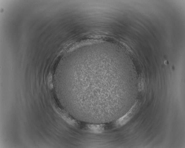 X0000085040187200703121443