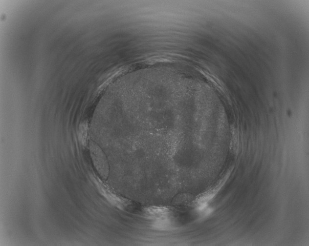 X0000085040189200703121443