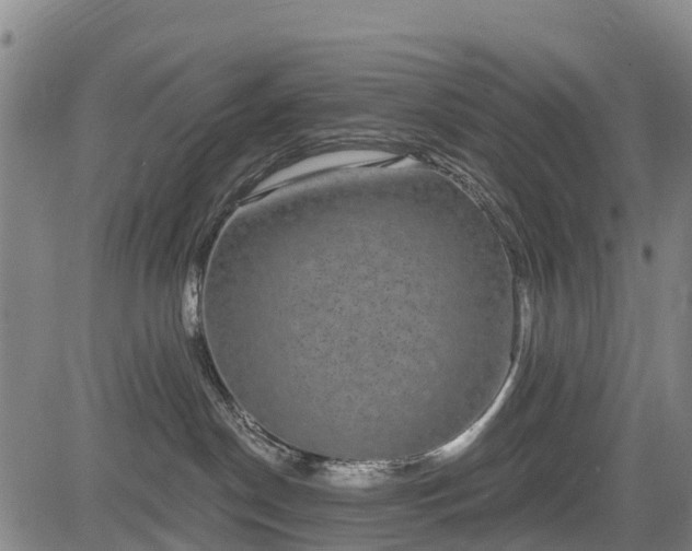 X0000085040190200703121443