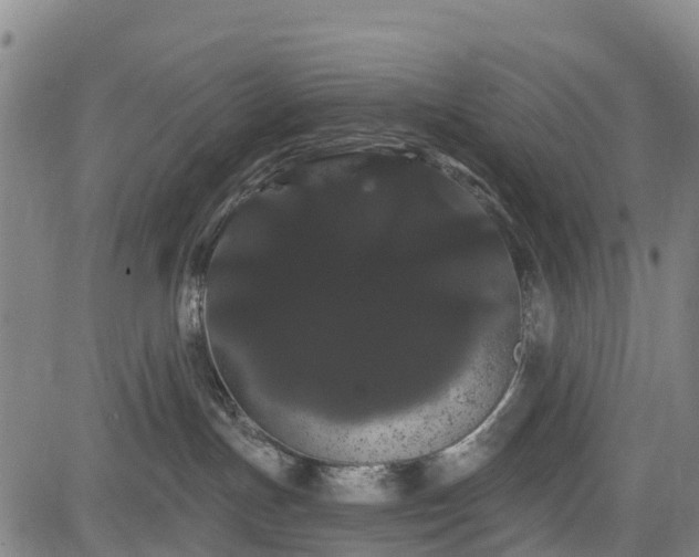 X0000085040191200703121443