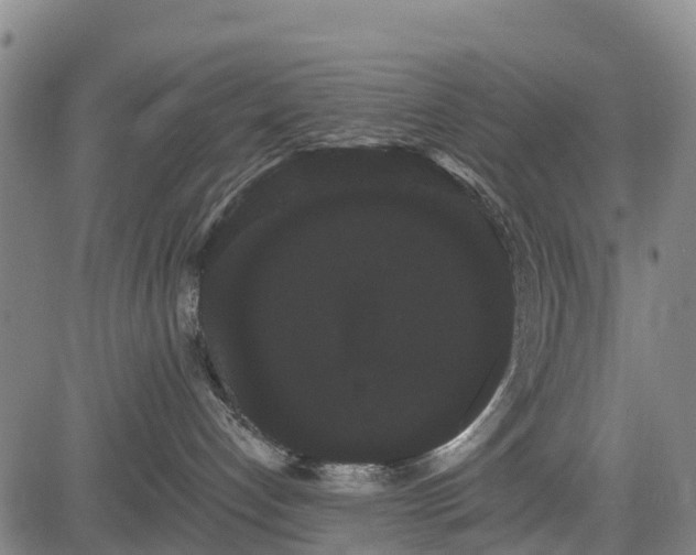 X0000085040192200703121443