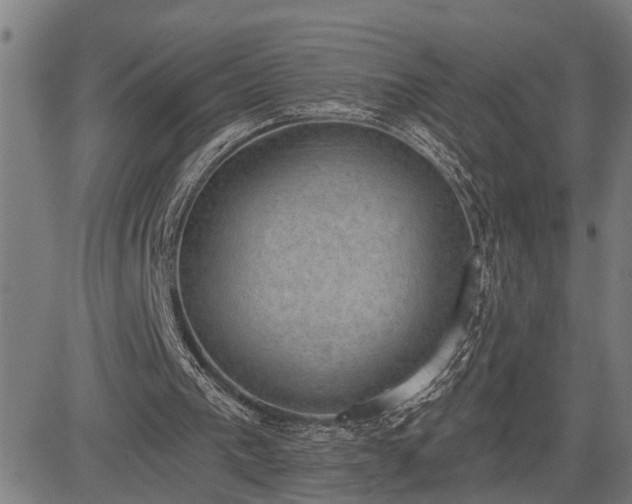 X0000085040193200703121442