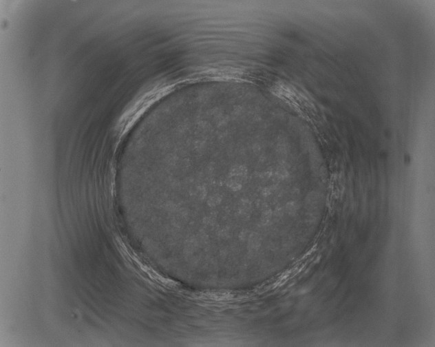 X0000085040194200703121442