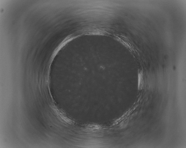 X0000085040195200703121442