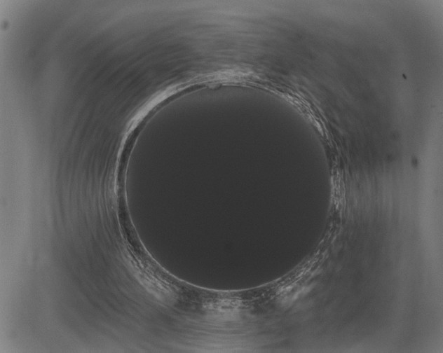 X0000085040196200703121442