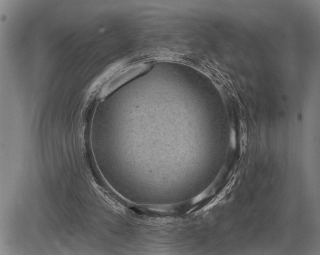 X0000085040197200703121442