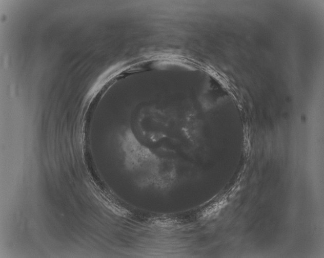 X0000085040199200703121442