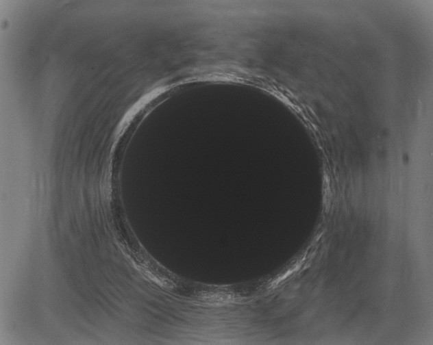 X0000085040200200703121442