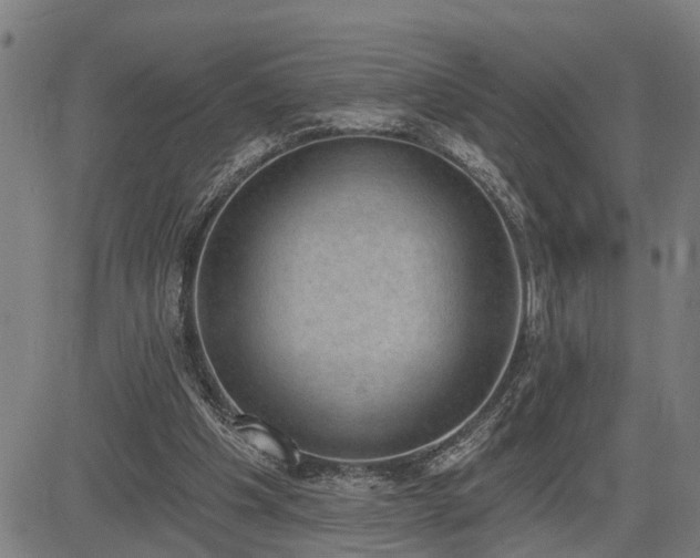 X0000085040201200703121442