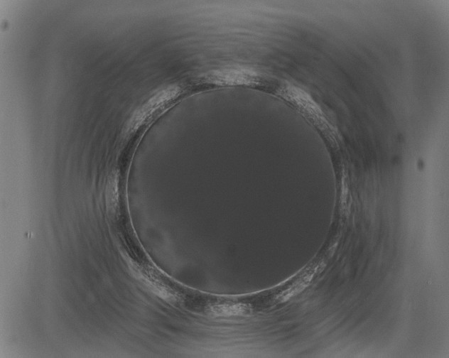 X0000085040202200703121442