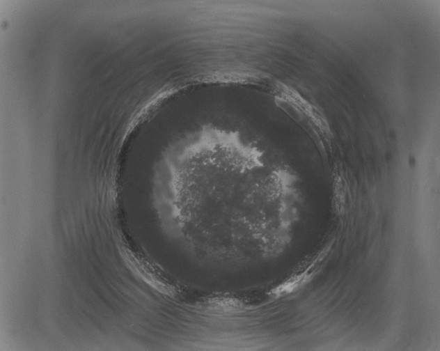 X0000085040203200703121442