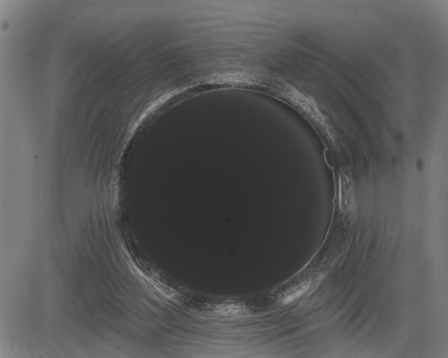 X0000085040204200703121442