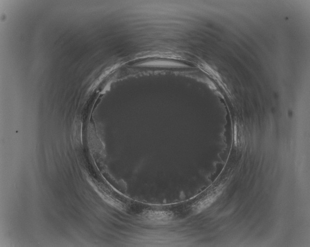 X0000085040205200703121442