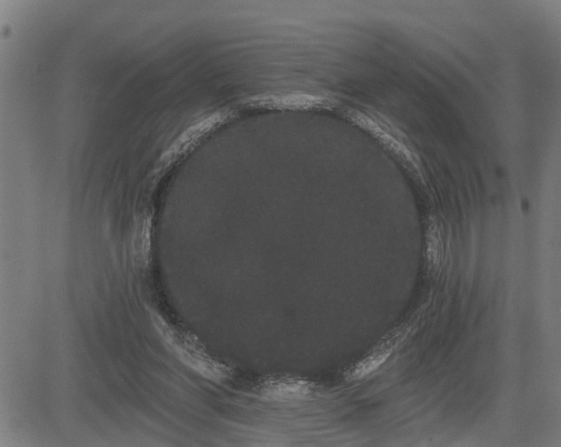 X0000085040206200703121442