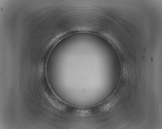 X0000085040208200703121442