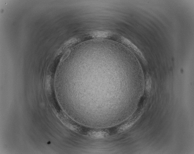 X0000085040209200703121442