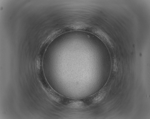 X0000085040210200703121442